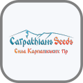 Carpathian Seeds