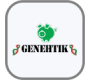 Genehtik