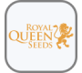 Royal Queen Seeds