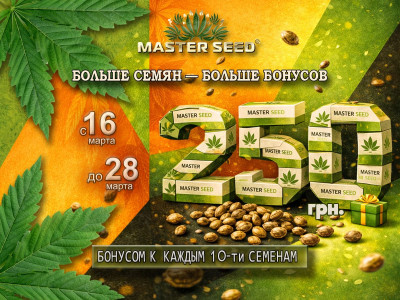 Больше семян — больше бонусов в Love Grow 