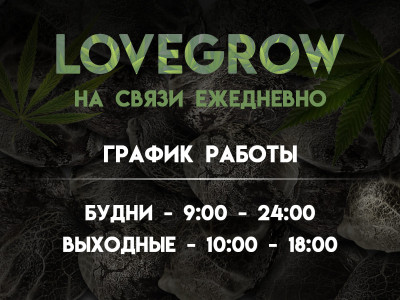 LoveGrow на связи каждый день 