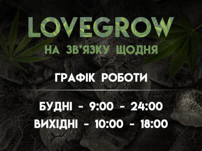 LoveGrow на зв’язку щодня