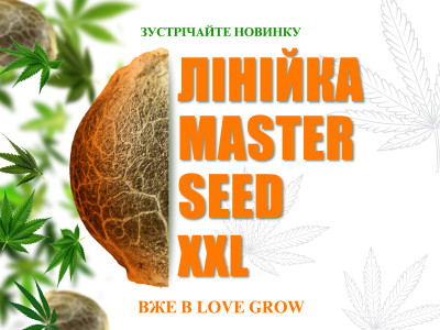 Зустрічайте новинку — лінійка MASTER SEED XXL вже в Love Grow 