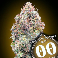 Do-Si-Dos Fast Cookies feminised (00seeds)