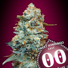Sweet Somango Fast feminised (00seeds)