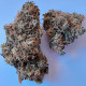 Семена конопли African Gasfem. ACE Seeds