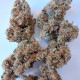 Насіння коноплі Early Evil Haze fem. ACE Seeds