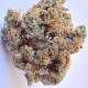Семена конопли Rudra Solvent fem. ACE Seeds