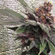 Семена конопли Bubba Kush x PCK reg. ACE Seeds