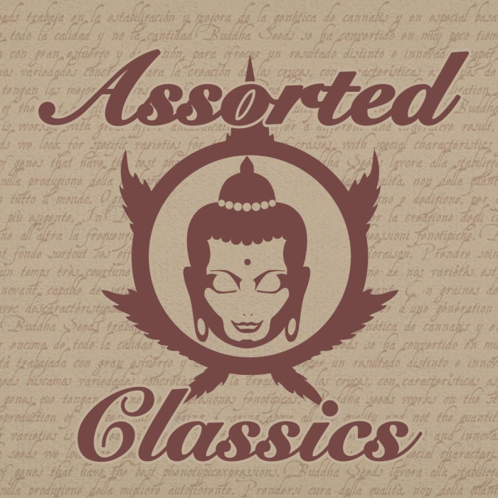 Насіння коноплі Assorted Classics fem. Buddha Seeds