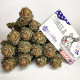 Семена конопли Gorilla fem. Buddha Seeds