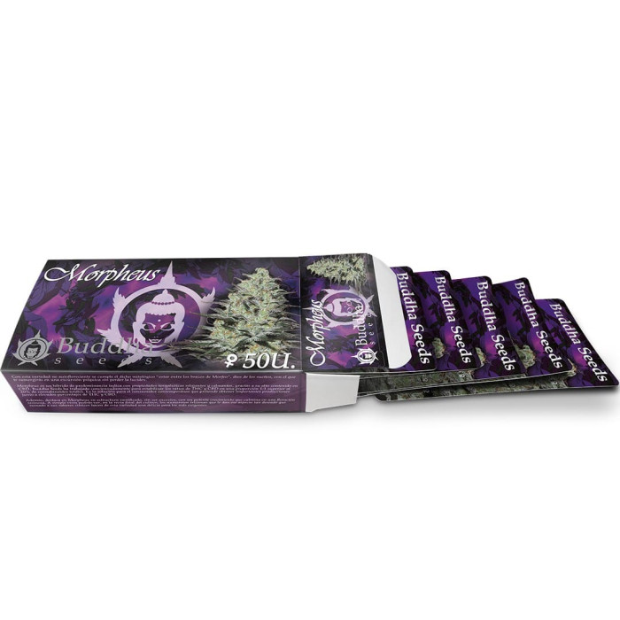 Семена конопли Morpheus fem. Buddha Seeds