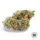 Насіння коноплі Amnesia Haze autofem. Bulk Seed Bank
