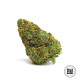 Насіння коноплі Amnesia Platinum autofem. Bulk Seed Bank