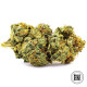 Семена конопли Banana Monkey autofem. Bulk Seed Bank