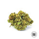 Насіння коноплі Blueberry Berry autofem. Bulk Seed Bank