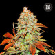 Насіння коноплі Bubblegum Extra autofem. Bulk Seed Bank