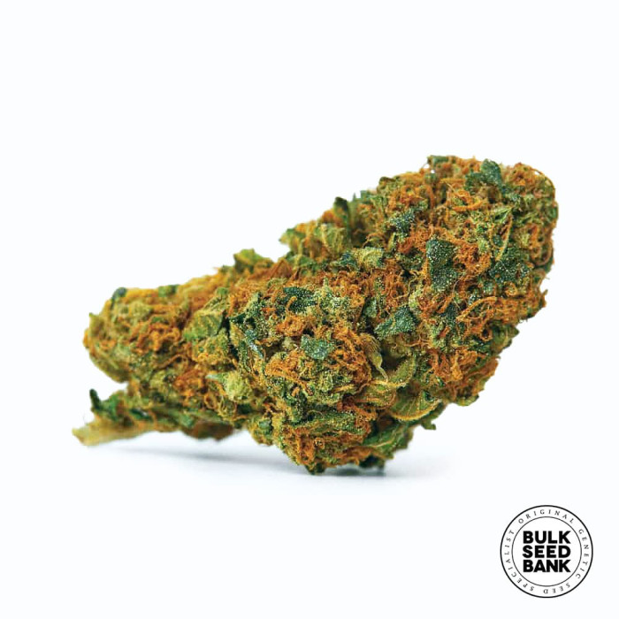 Насіння коноплі Bubblegum Extra autofem. Bulk Seed Bank