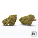 Насіння коноплі Cheese autofem. Bulk Seed Bank