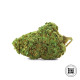 Насіння коноплі Critical autofem. Bulk Seed Bank