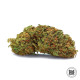 Семена конопли Dubai Poison autofem. Bulk Seed Bank