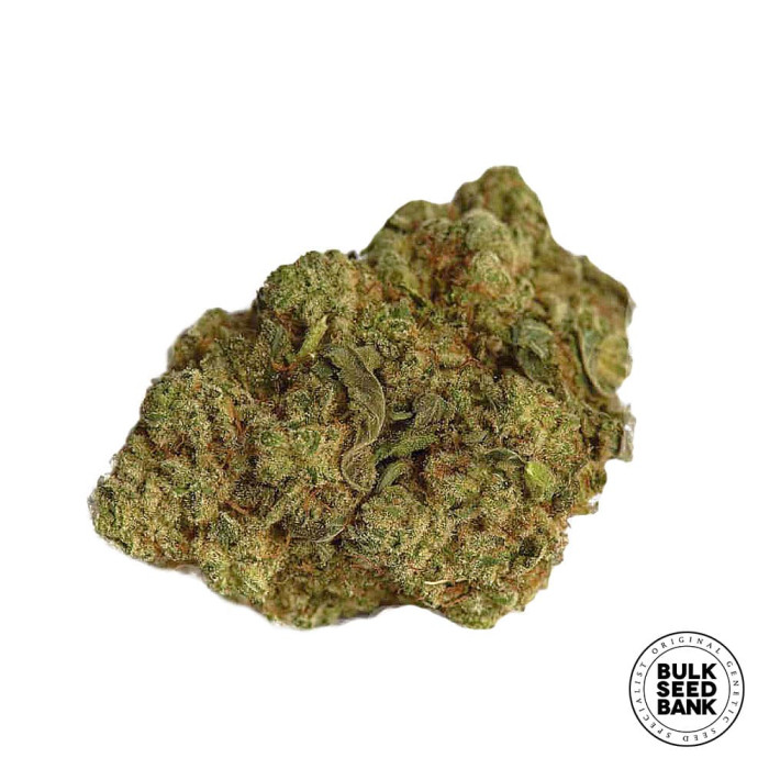 Семена конопли East Ryder autofem. Bulk Seed Bank