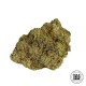 Семена конопли East Ryder autofem. Bulk Seed Bank