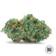 Насіння коноплі Gelato Samba autofem. Bulk Seed Bank