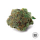Семена конопли Good Wild Shark autofem. Bulk Seed Bank