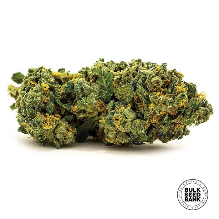 Семена конопли Grande Crack autofem. Bulk Seed Bank