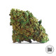 Семена конопли Hindu Kush autofem. Bulk Seed Bank