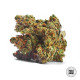 Насіння коноплі Jack Hair autofem. Bulk Seed Bank