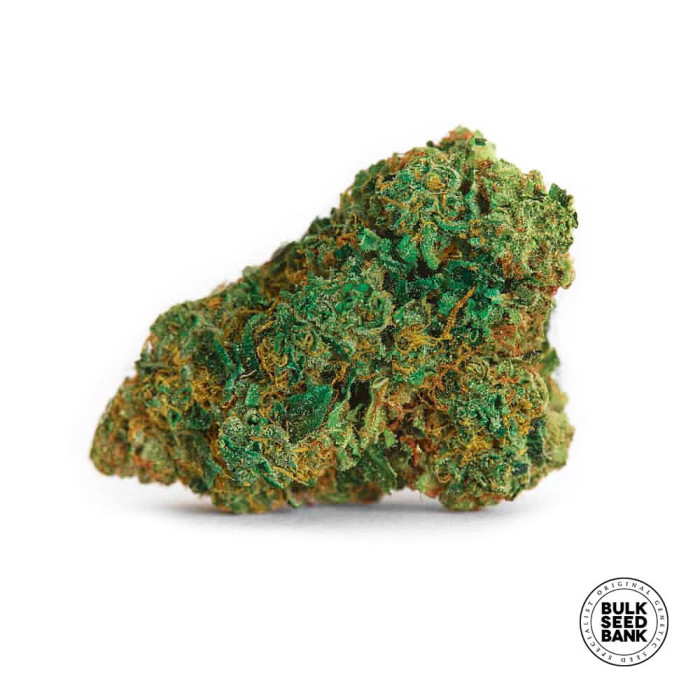 Семена конопли Kali’s Mistery autofem. Bulk Seed Bank