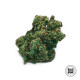 Семена конопли Lime Skunk autofem. Bulk Seed Bank