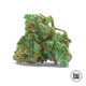 Семена конопли NBA Diesel autofem. Bulk Seed Bank