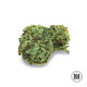 Семена конопли OG Kush autofem. Bulk Seed Bank