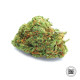 Насіння коноплі Original Orange Bud autofem. Bulk Seed Bank