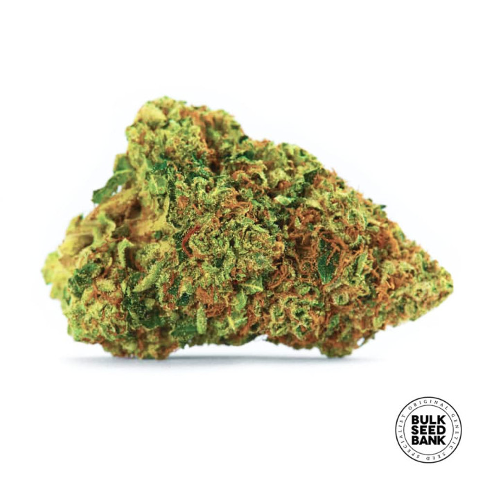 Насіння коноплі Psychedelic autofem. Bulk Seed Bank