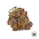Семена конопли Purple Glam Kush autofem. Bulk Seed Bank