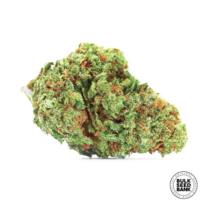 Насіння коноплі Sour Diesel autofem. Bulk Seed Bank