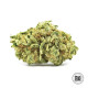 Насіння коноплі White Widow CBD autofem. Bulk Seed Bank