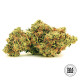 Насіння коноплі Zkittly Zi Zi autofem. Bulk Seed Bank