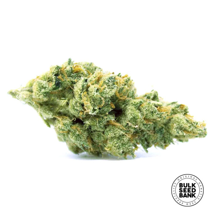 Семена конопли Ananas Funk fem. Bulk Seed Bank