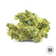 Насіння коноплі Banana Monkey fem. Bulk Seed Bank