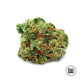 Насіння коноплі Bigger Bud fem. Bulk Seed Bank