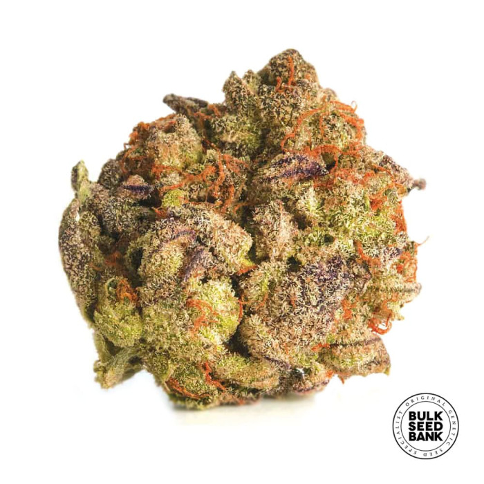 Насіння коноплі Bubblegum Extra fem. Bulk Seed Bank