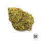 Насіння коноплі Cheese fem. Bulk Seed Bank