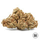 Насіння коноплі Cocopopo fem. Bulk Seed Bank