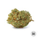 Насіння коноплі Critical fem. Bulk Seed Bank
