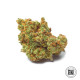Насіння коноплі Critical Mass fem. Bulk Seed Bank